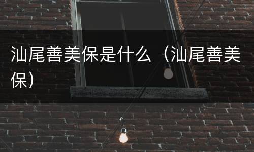 汕尾善美保是什么（汕尾善美保）