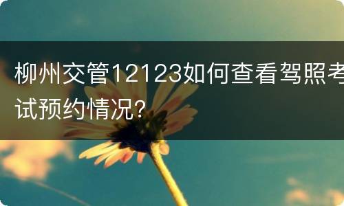 柳州交管12123如何查看驾照考试预约情况？