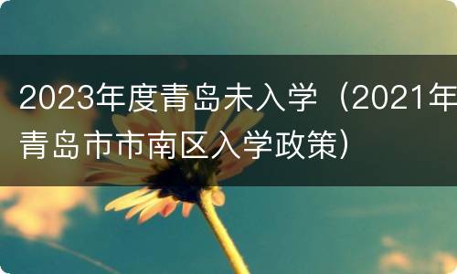 2023年度青岛未入学（2021年青岛市市南区入学政策）