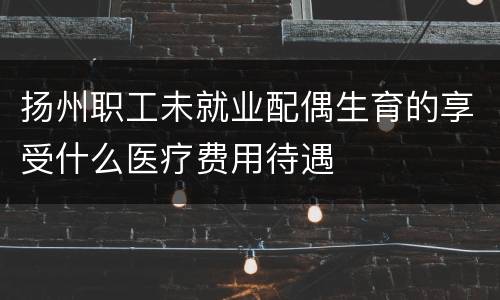 扬州职工未就业配偶生育的享受什么医疗费用待遇