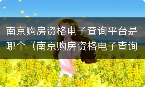 南京购房资格电子查询平台是哪个（南京购房资格电子查询平台是哪个公司）