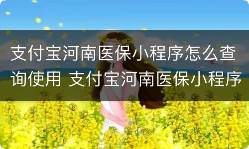 支付宝河南医保小程序怎么查询使用 支付宝河南医保小程序怎么查询使用情况