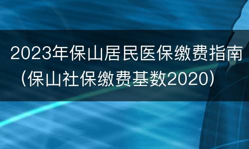 2023年保山居民医保缴费指南（保山社保缴费基数2020）