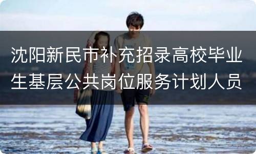 沈阳新民市补充招录高校毕业生基层公共岗位服务计划人员考试公告