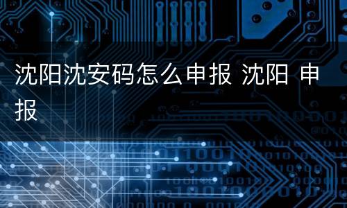 沈阳沈安码怎么申报 沈阳 申报