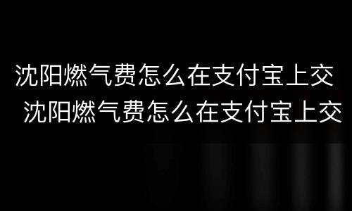 沈阳燃气费怎么在支付宝上交 沈阳燃气费怎么在支付宝上交不了
