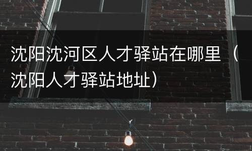 沈阳沈河区人才驿站在哪里（沈阳人才驿站地址）