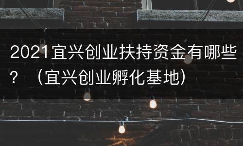 2021宜兴创业扶持资金有哪些？（宜兴创业孵化基地）