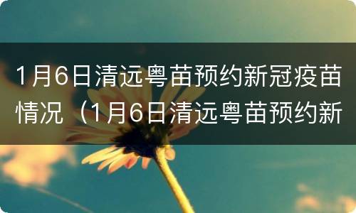1月6日清远粤苗预约新冠疫苗情况（1月6日清远粤苗预约新冠疫苗情况说明）