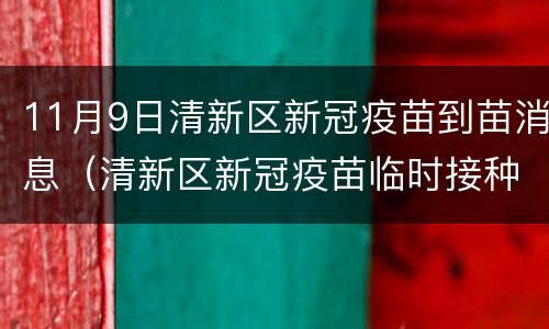 11月9日清新区新冠疫苗到苗消息（清新区新冠疫苗临时接种点）