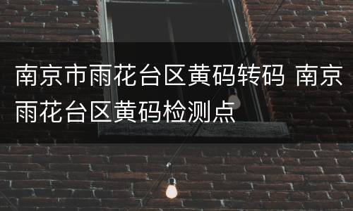 南京市雨花台区黄码转码 南京雨花台区黄码检测点