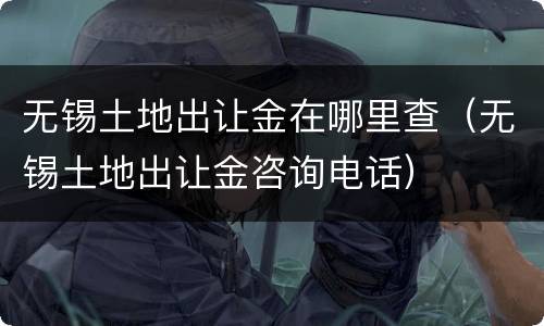 无锡土地出让金在哪里查（无锡土地出让金咨询电话）