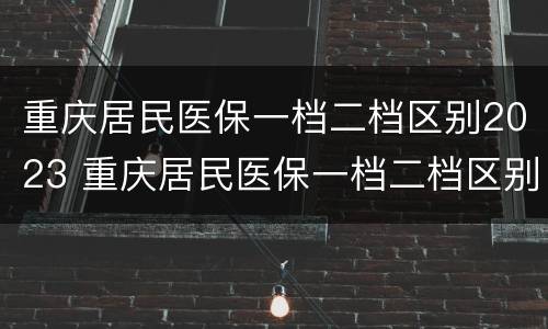 重庆居民医保一档二档区别2023 重庆居民医保一档二档区别2022