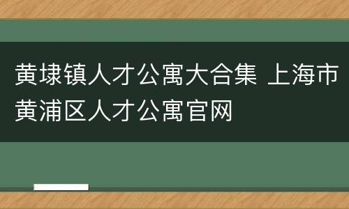 黄埭镇人才公寓大合集 上海市黄浦区人才公寓官网