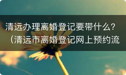 清远办理离婚登记要带什么？（清远市离婚登记网上预约流程）