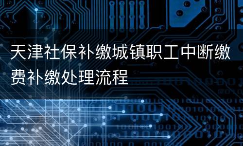 天津社保补缴城镇职工中断缴费补缴处理流程