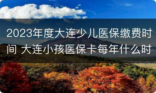 2023年度大连少儿医保缴费时间 大连小孩医保卡每年什么时候缴费