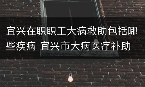 宜兴在职职工大病救助包括哪些疾病 宜兴市大病医疗补助