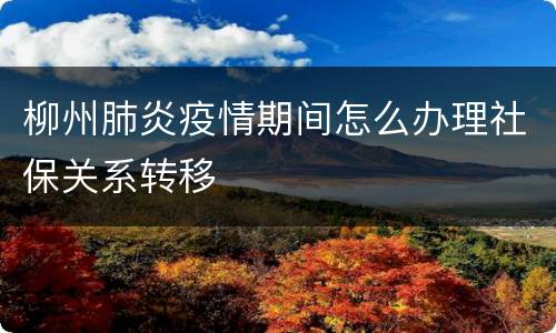 柳州肺炎疫情期间怎么办理社保关系转移