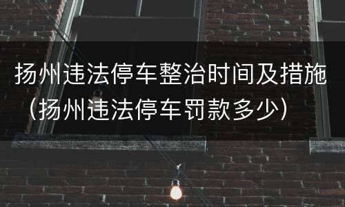 扬州违法停车整治时间及措施（扬州违法停车罚款多少）
