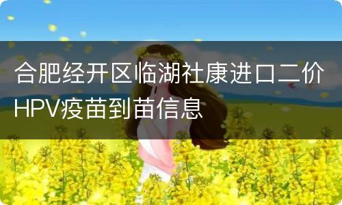 合肥经开区临湖社康进口二价HPV疫苗到苗信息