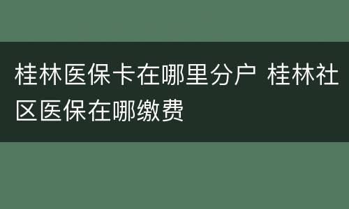 桂林医保卡在哪里分户 桂林社区医保在哪缴费
