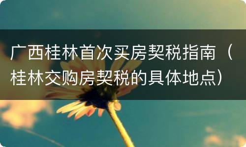 广西桂林首次买房契税指南（桂林交购房契税的具体地点）
