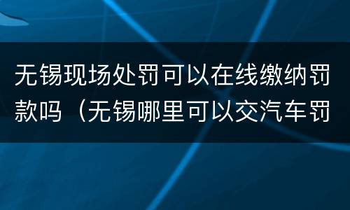 无锡现场处罚可以在线缴纳罚款吗（无锡哪里可以交汽车罚款）