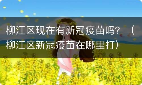 柳江区现在有新冠疫苗吗？（柳江区新冠疫苗在哪里打）