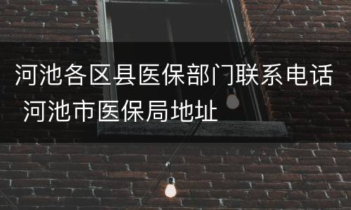 河池各区县医保部门联系电话 河池市医保局地址
