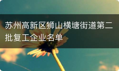 苏州高新区狮山横塘街道第二批复工企业名单