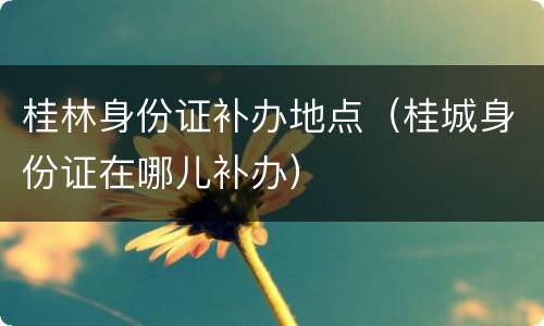 桂林身份证补办地点（桂城身份证在哪儿补办）