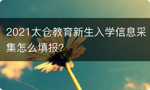 2021太仓教育新生入学信息采集怎么填报？