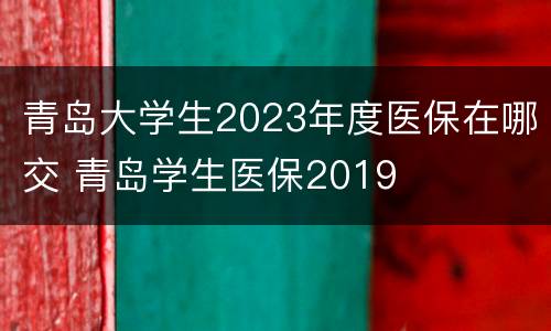 青岛大学生2023年度医保在哪交 青岛学生医保2019