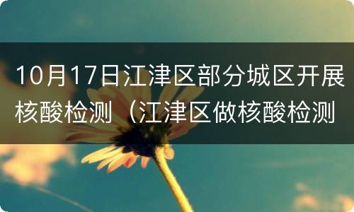 10月17日江津区部分城区开展核酸检测（江津区做核酸检测）