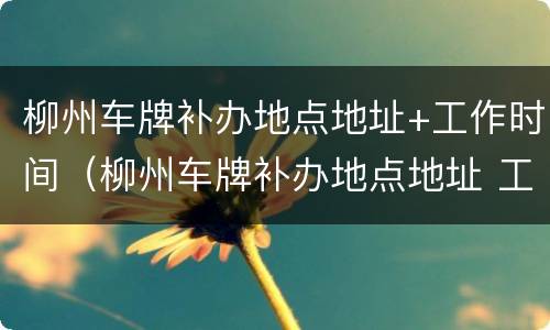 柳州车牌补办地点地址+工作时间（柳州车牌补办地点地址 工作时间查询）