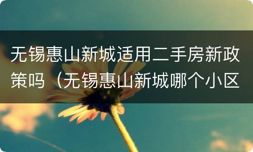 无锡惠山新城适用二手房新政策吗（无锡惠山新城哪个小区好）