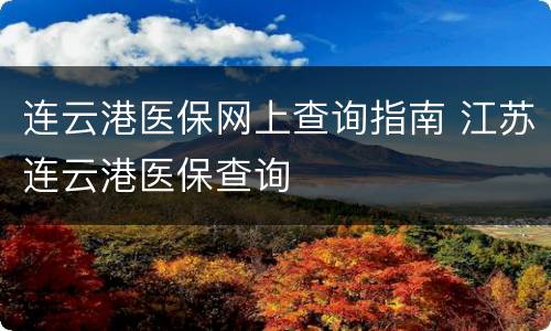 连云港医保网上查询指南 江苏连云港医保查询