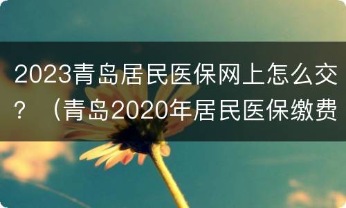 2023青岛居民医保网上怎么交？（青岛2020年居民医保缴费）