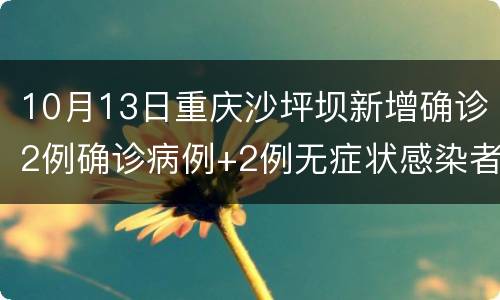 10月13日重庆沙坪坝新增确诊2例确诊病例+2例无症状感染者