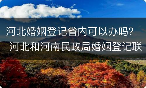 河北婚姻登记省内可以办吗？ 河北和河南民政局婚姻登记联网了吗