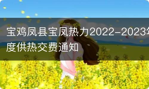 宝鸡凤县宝凤热力2022-2023年度供热交费通知