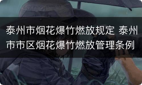 泰州市烟花爆竹燃放规定 泰州市市区烟花爆竹燃放管理条例