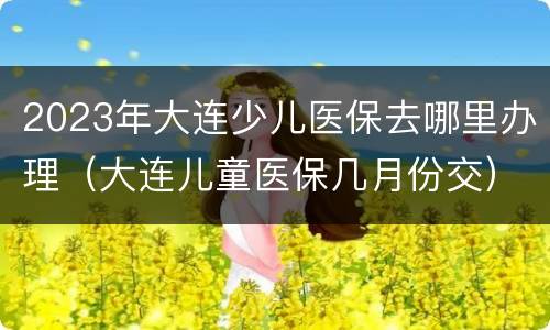 2023年大连少儿医保去哪里办理（大连儿童医保几月份交）
