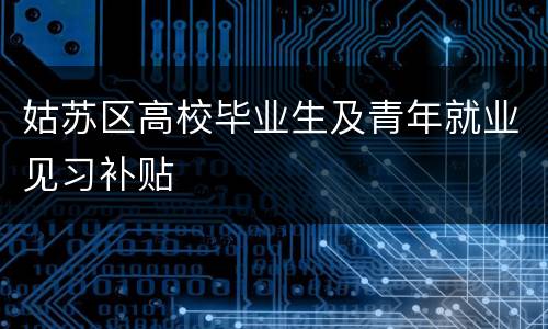 姑苏区高校毕业生及青年就业见习补贴