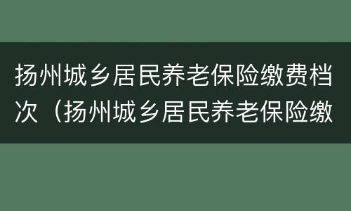 扬州城乡居民养老保险缴费档次（扬州城乡居民养老保险缴费档次表）