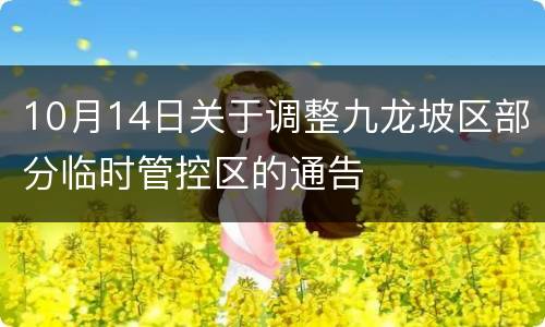 10月14日关于调整九龙坡区部分临时管控区的通告