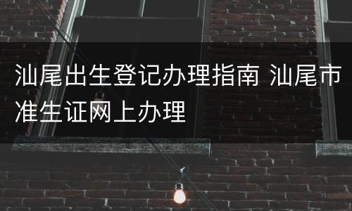 汕尾出生登记办理指南 汕尾市准生证网上办理