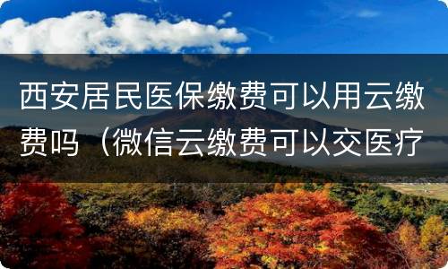 西安居民医保缴费可以用云缴费吗（微信云缴费可以交医疗保险吗）