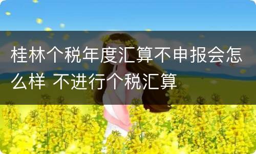 桂林个税年度汇算不申报会怎么样 不进行个税汇算